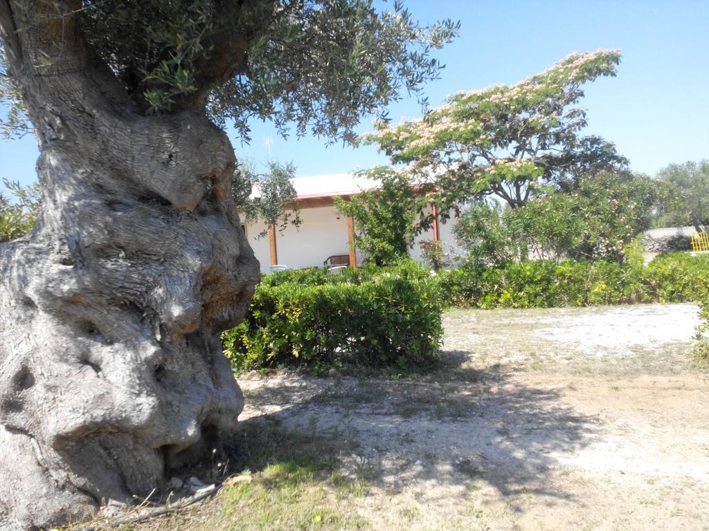 Agriturismo Villa Tommaso Torre dell'Orso Esterno foto